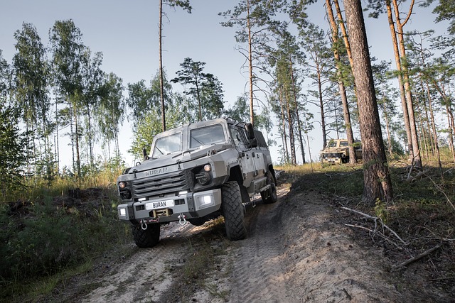 Camioneta 4x4 con neumáticos all-terrain en camino de ripio argentino