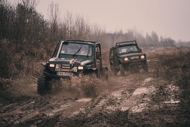 Camioneta 4x4 con tracción integral en terreno fuera de asfalto